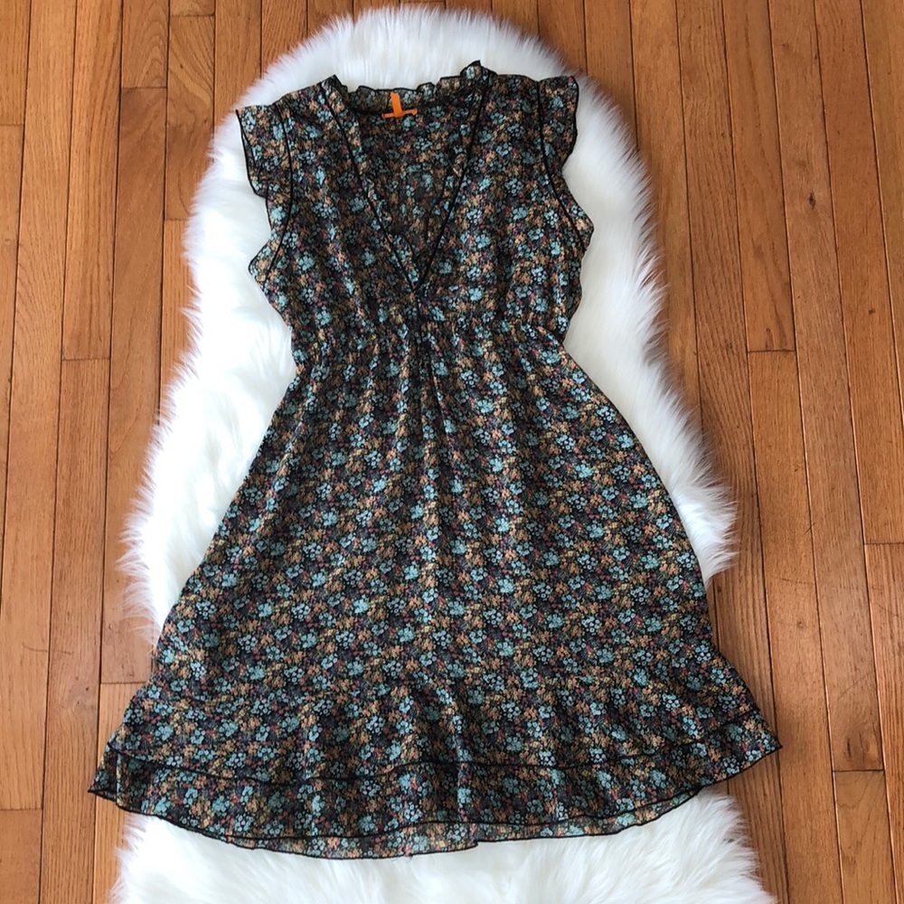 Anama sheer dress
